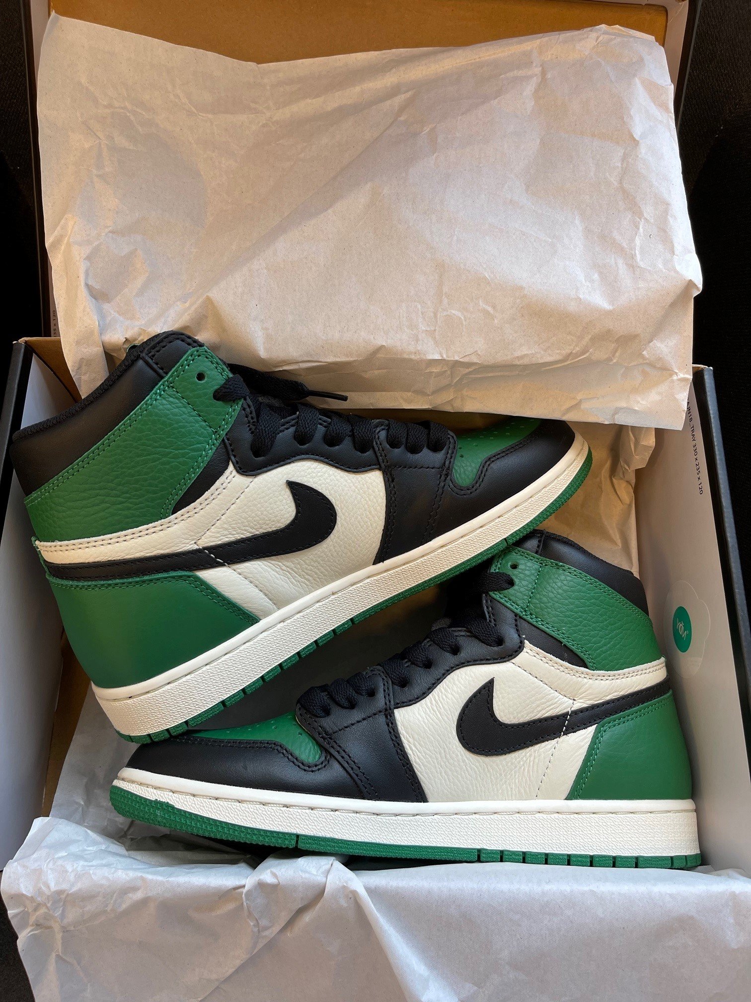 Témoignage 3 AJ1 Pine Green